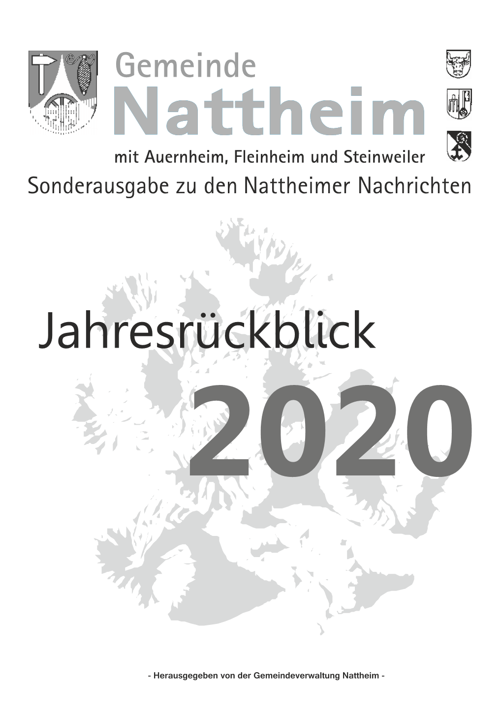 Jahresrückblick 2020 5.Cdr