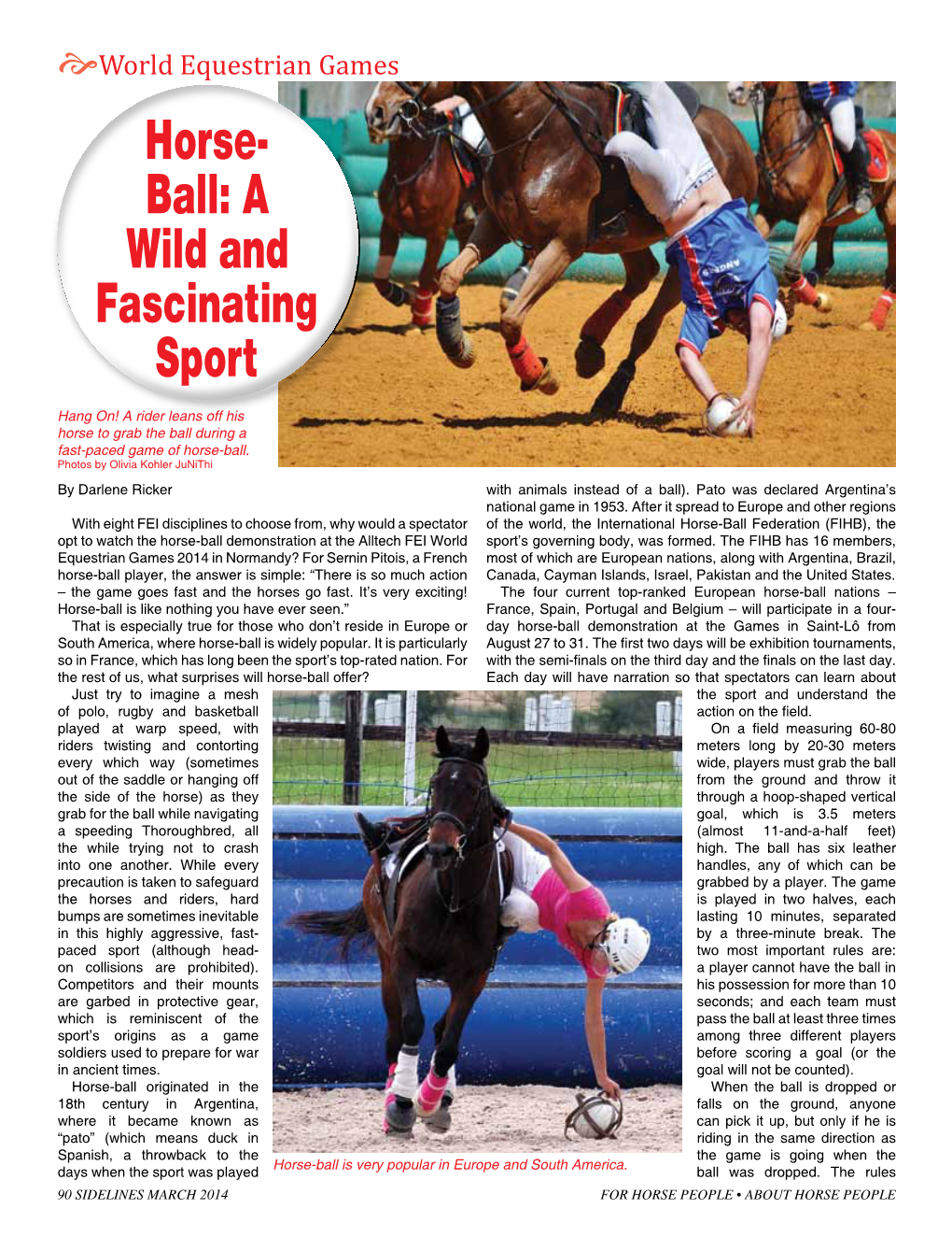 Ball: a Wild and Fascinating Sport Horse