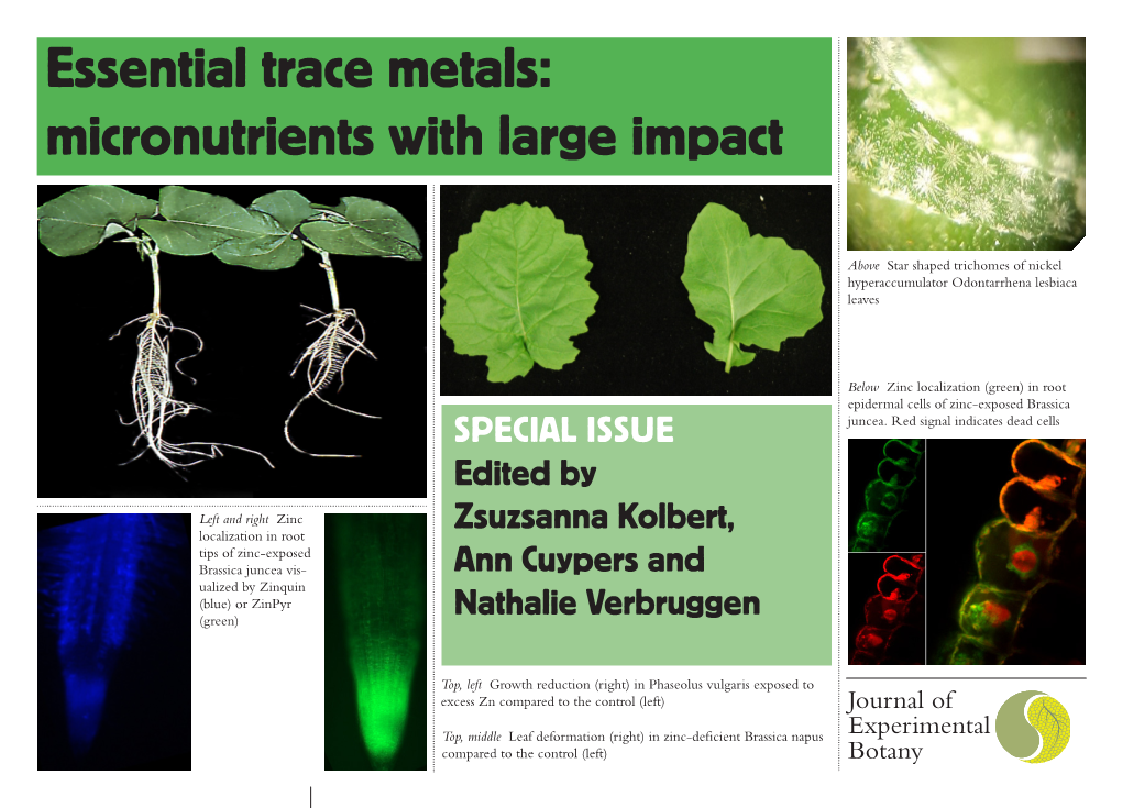 Essential Trace Metals: Micronutrients with Large Impact