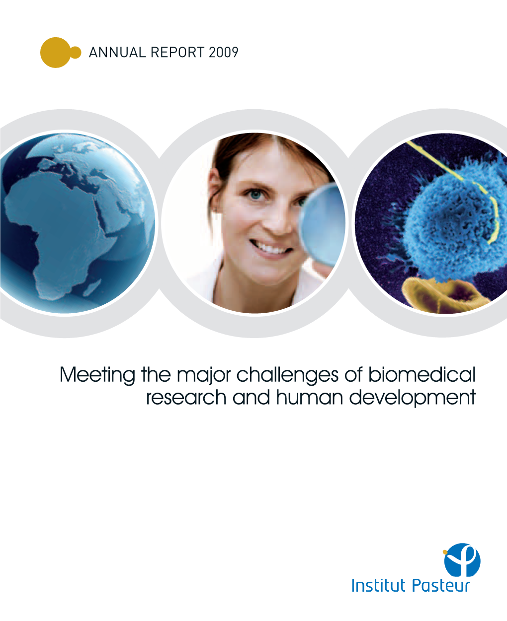 Meeting the Major Challenges of Biomedical Research and Human Development the Essence of the Institut Pasteur Challenges