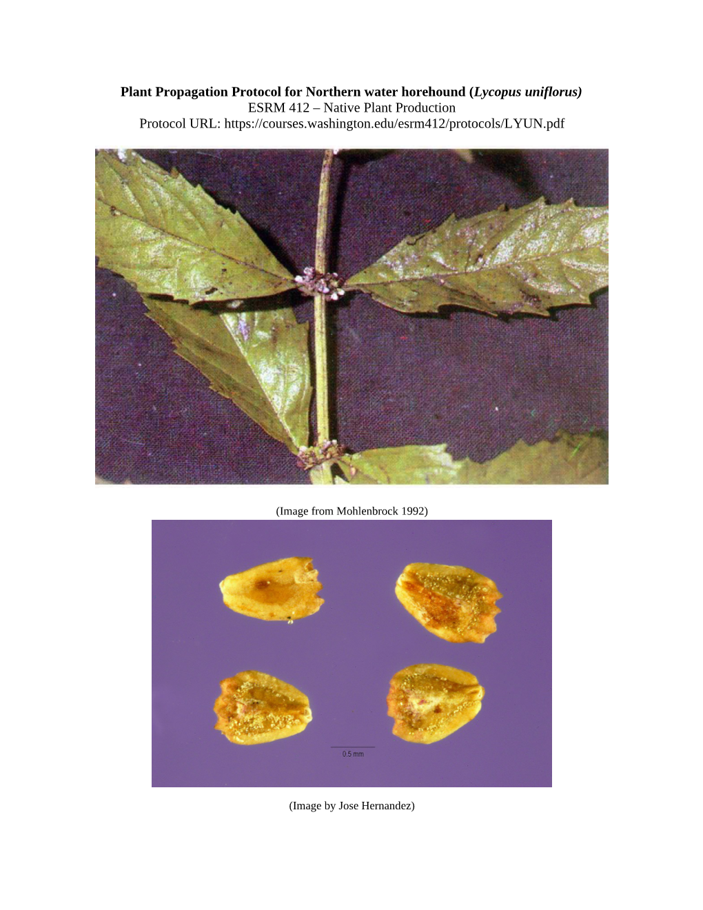 Draft Plant Propagation Protocol