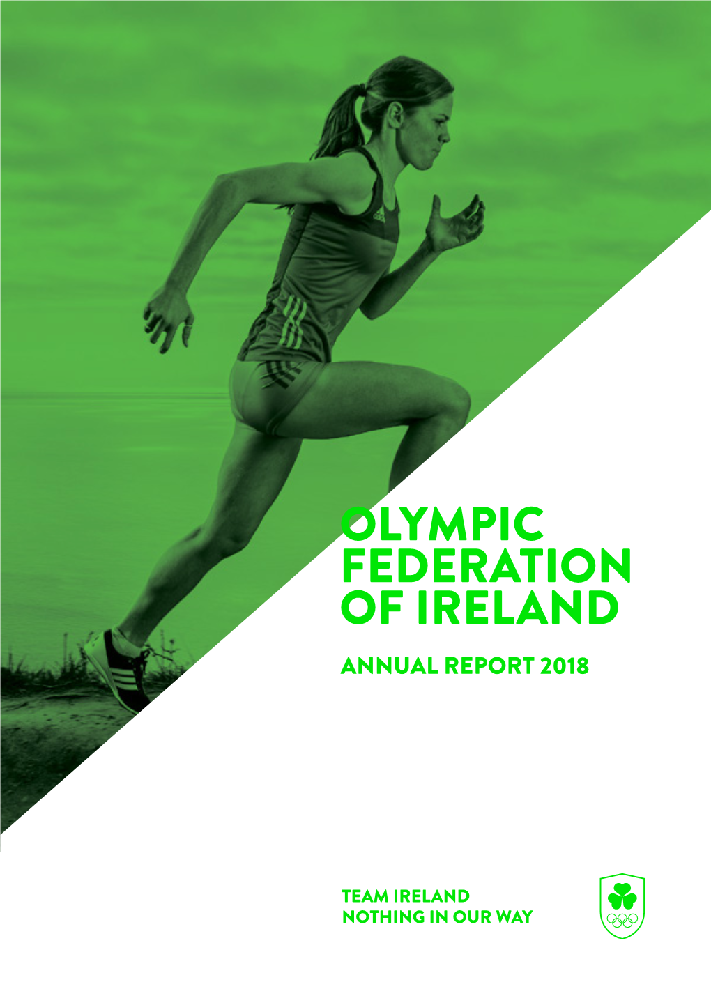 Download Annual Report 2018