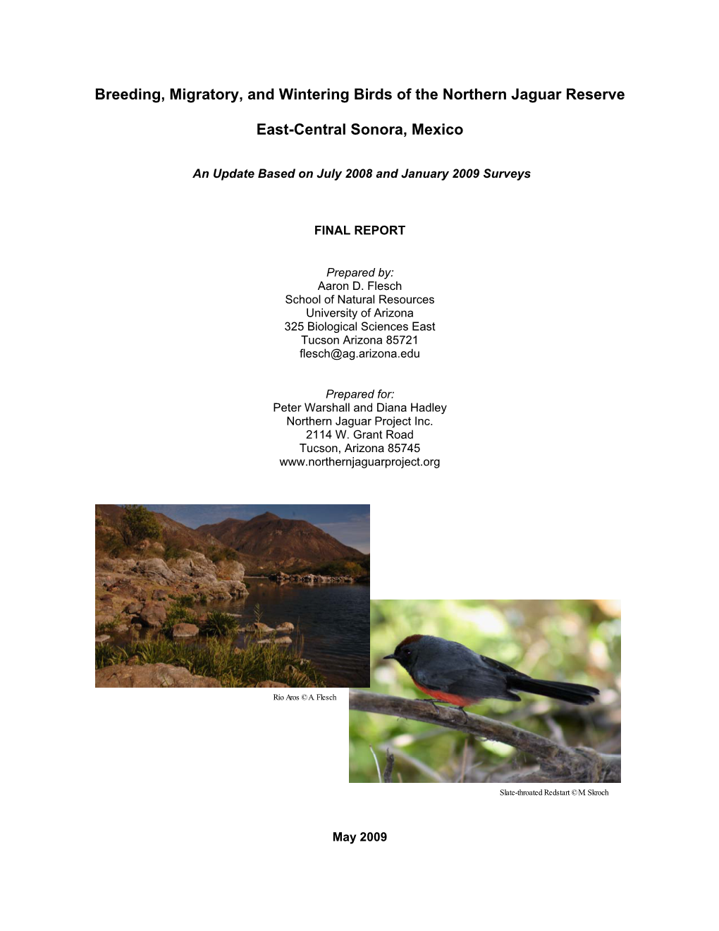 Breeding, Migratory, and Wintering Birds of the Northern Jaguar Reserve