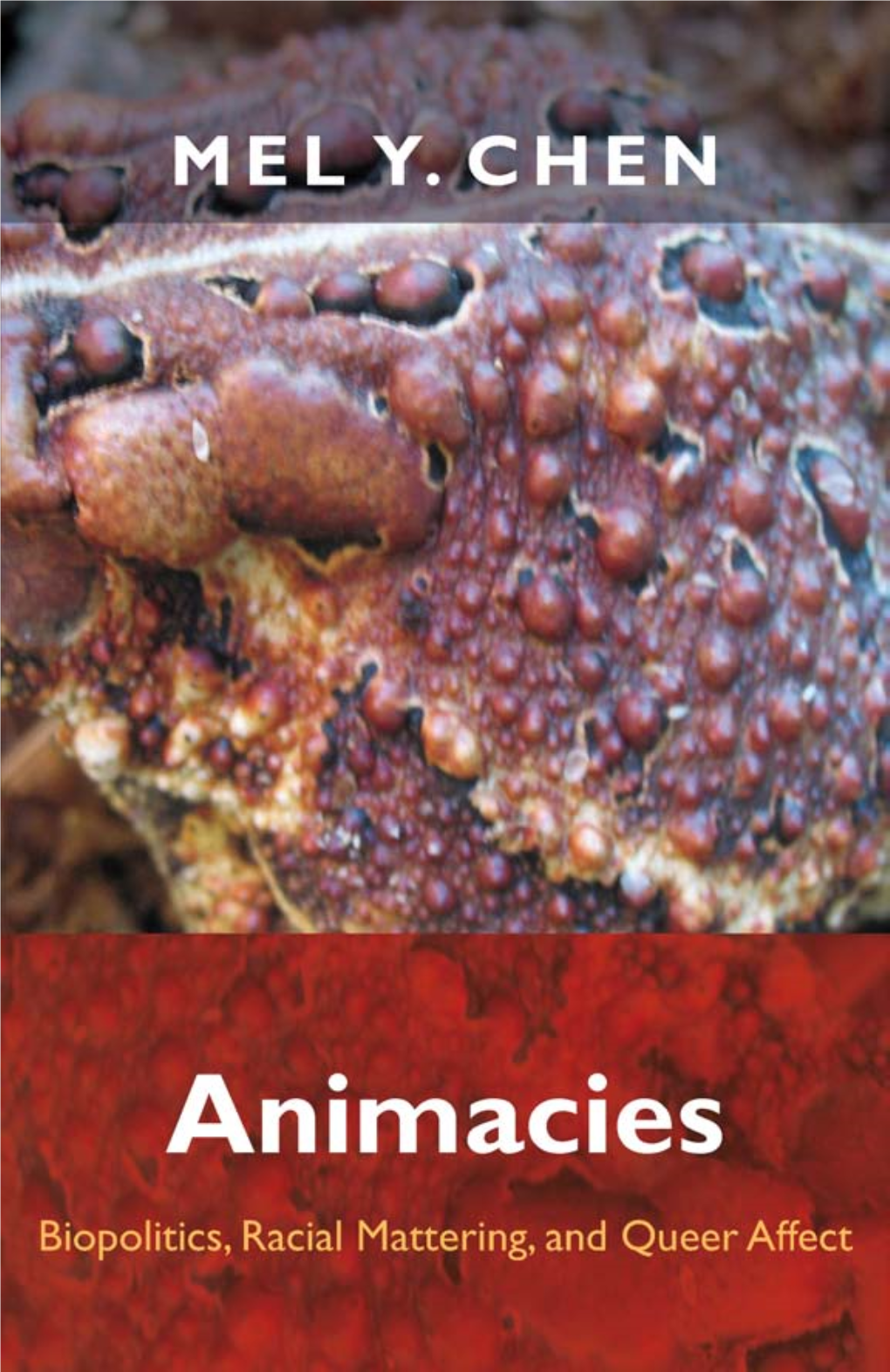 Animacies: Biopolitics, Racial Mattering, And