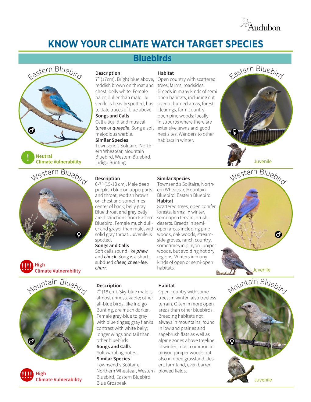 KNOW YOUR CLIMATE WATCH TARGET SPECIES Bluebirds Ern Blueb Tern Blueb Ast Ird Description Habitat As Ird E 7” (17Cm)