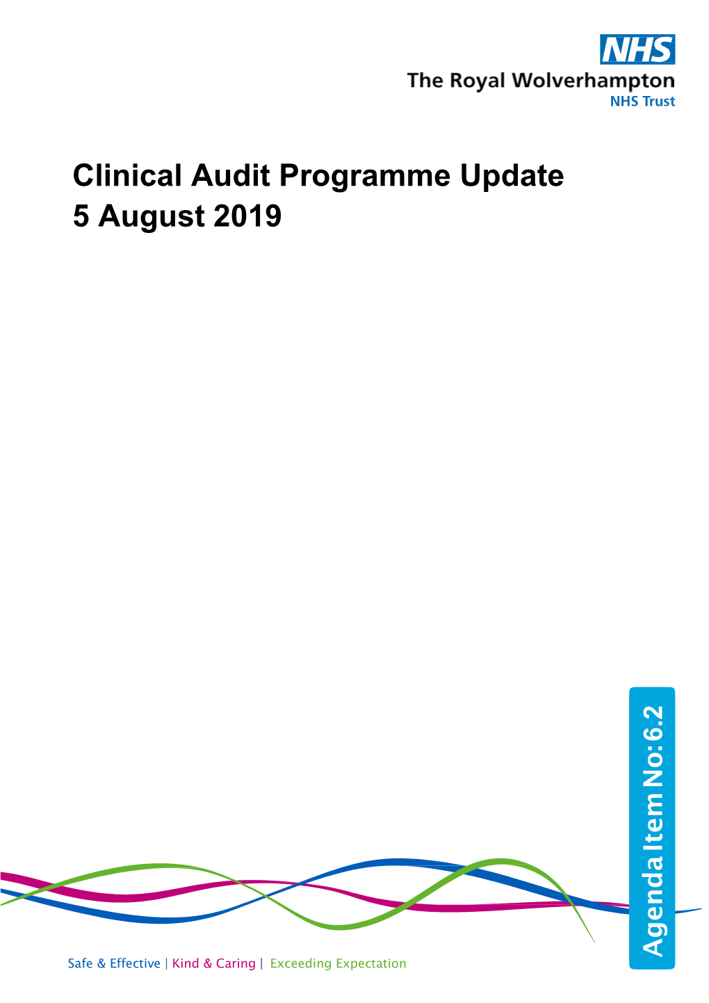 Clinical Audit Programme Update 5 August 2019