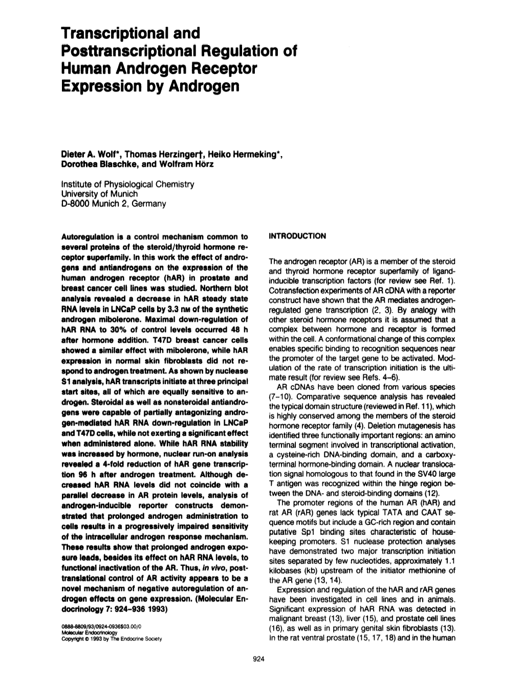 Transcriptional and Posttranscriptional Regulation of Human Androgen Receptor Expression by Androgen