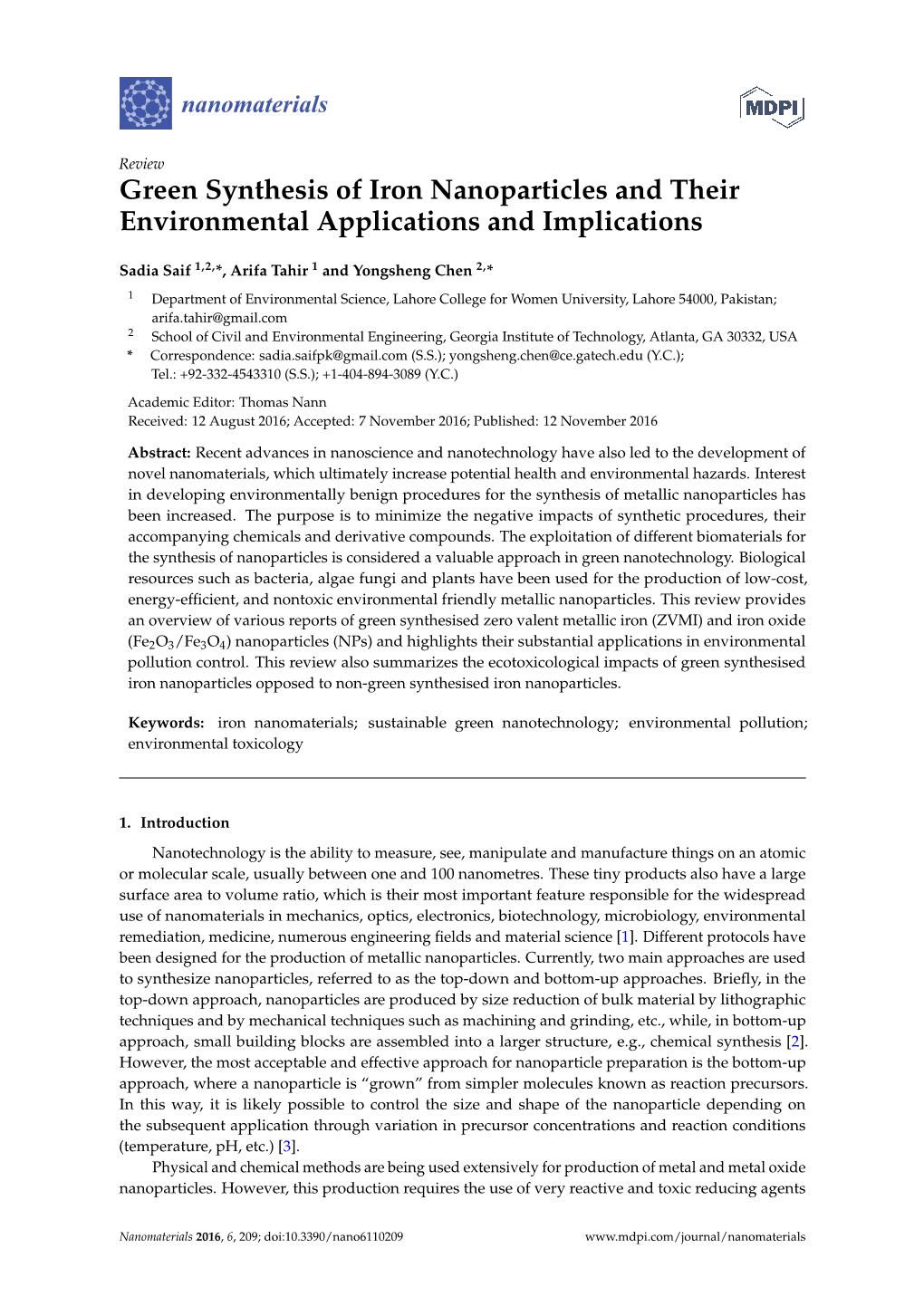 Green Synthesis of Iron Nanoparticles and Their Environmental Applications and Implications