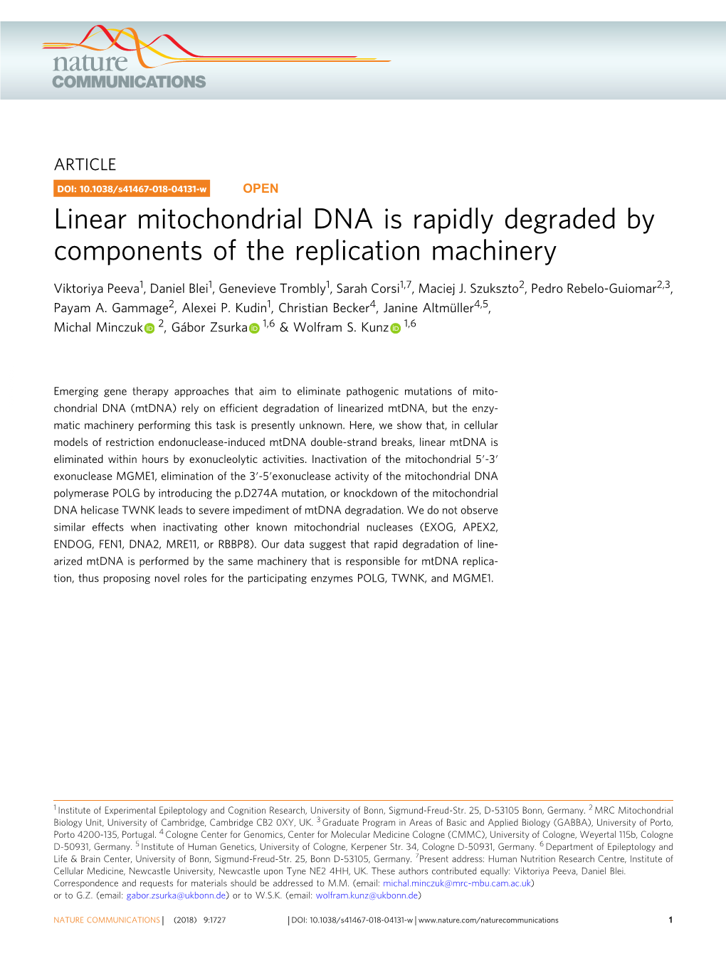Linear Mitochondrial DNA Is Rapidly Degraded by Components of the Replication Machinery
