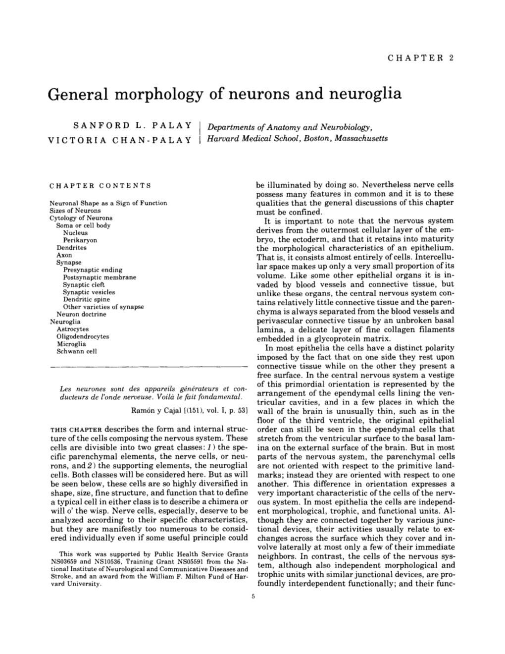 General Morphology of Neurons and Neuroglia. In: Comprehensive