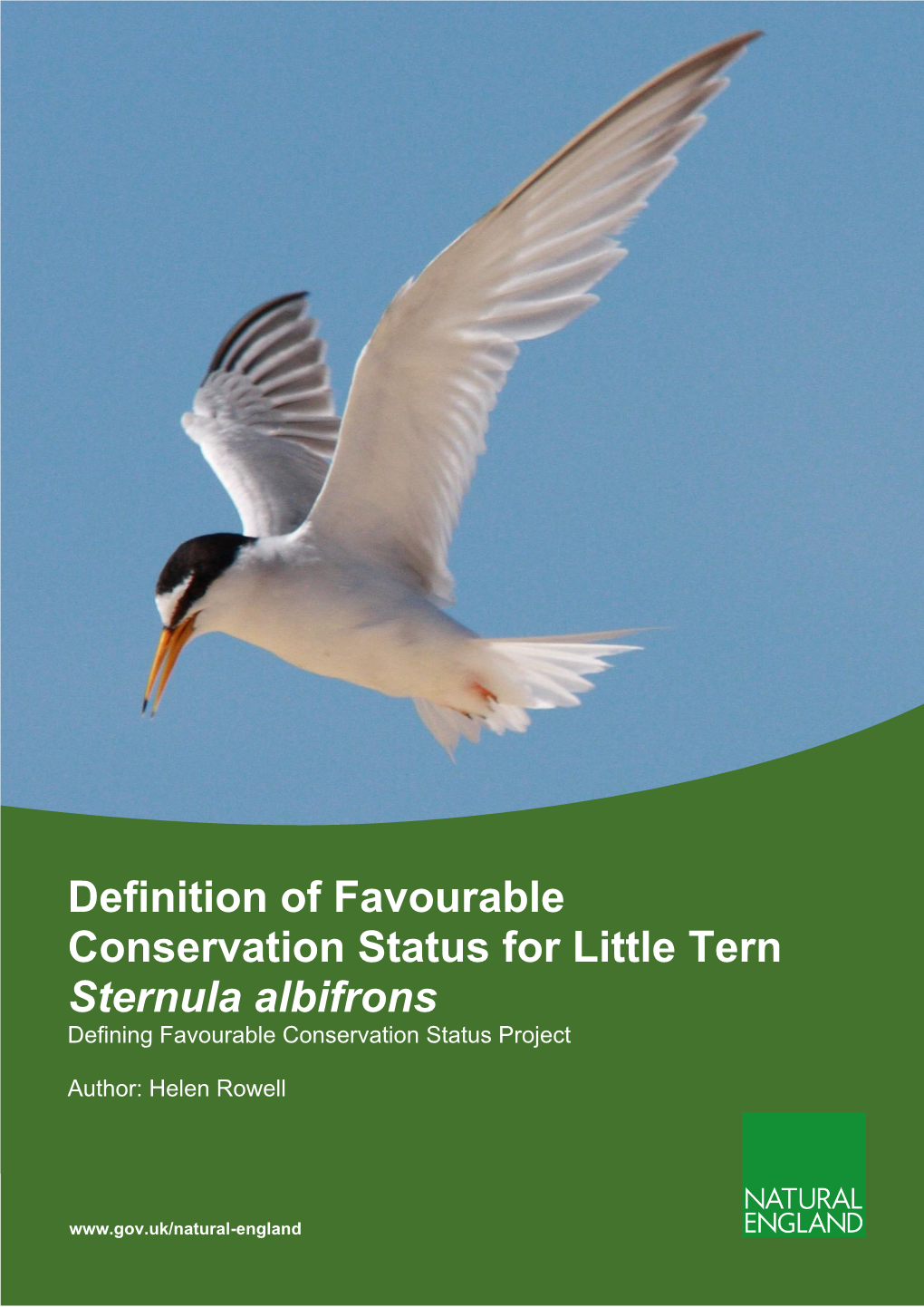 Definition of Favourable Conservation Status for Little Tern Sternula Albifrons