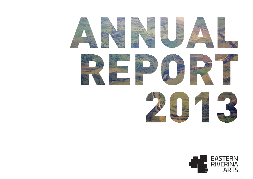 Download 2013 Annual Report (.Pdf 2Mb)