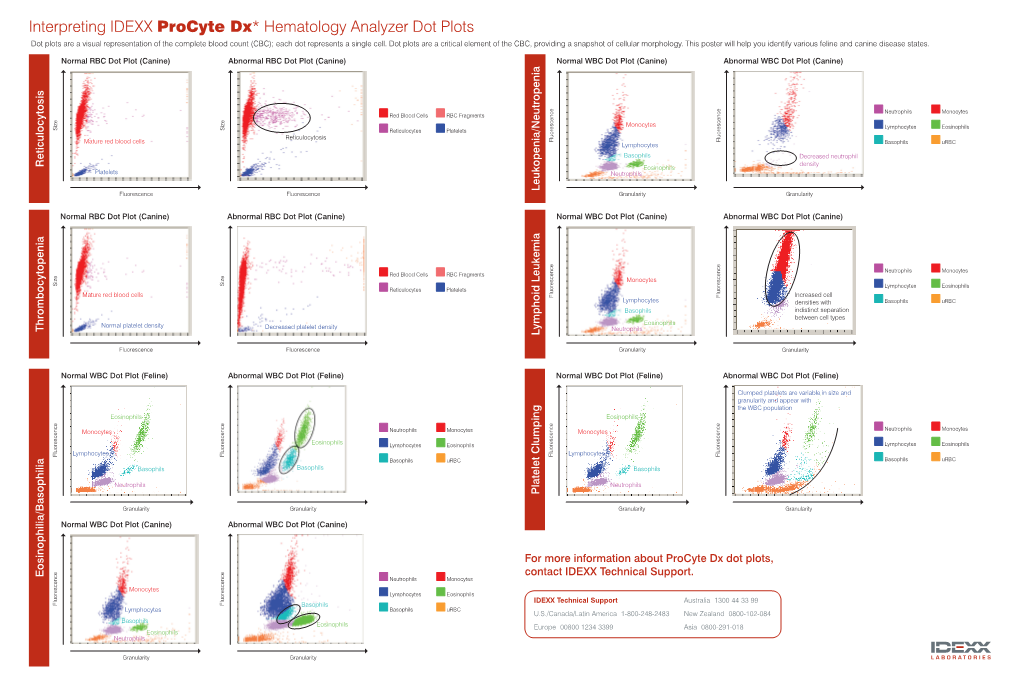 Interpreting IDEXX Procyte Dx Hematology Analyzer Dot Plots