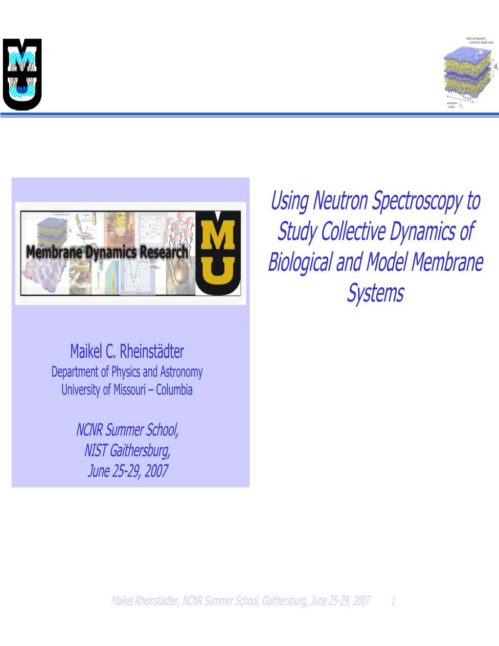 Using Neutron Spectroscopy to Study Collective Dynamics of Biological
