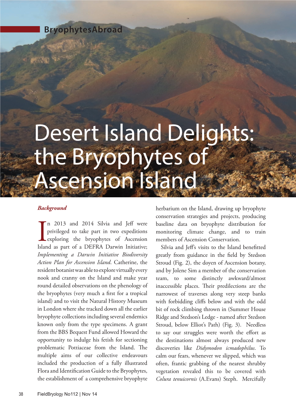 Desert Island Delights: the Bryophytes of Ascension Island