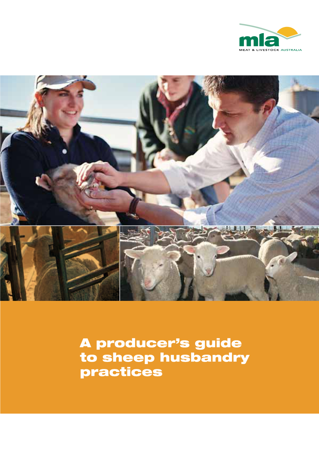 A Producer's Guide to Sheep Husbandry Practices