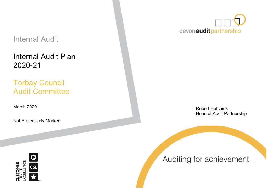 Devon Audit Partnership