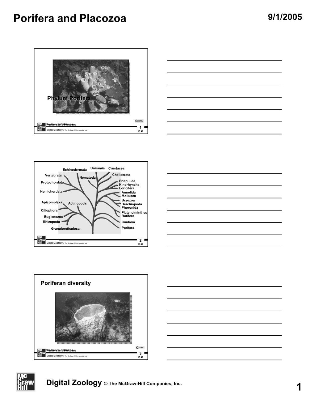 Porifera and Placozoa 1