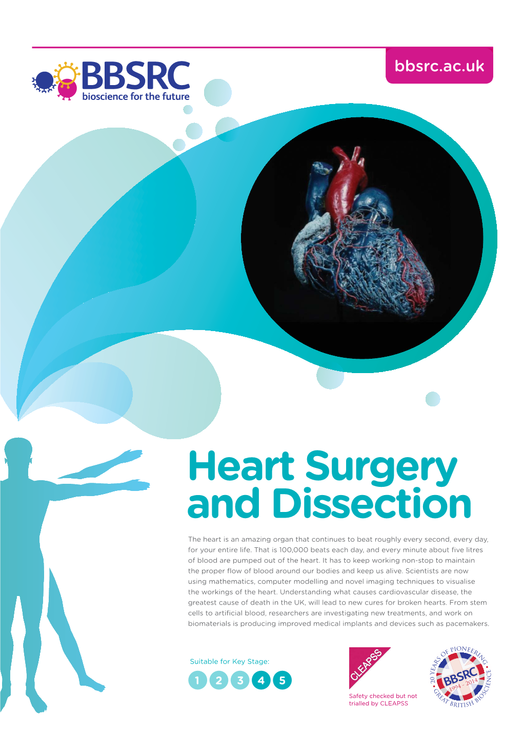 Heart Surgery and Dissection the Heart Is an Amazing Organ That Continues to Beat Roughly Every Second, Every Day, for Your Entire Life