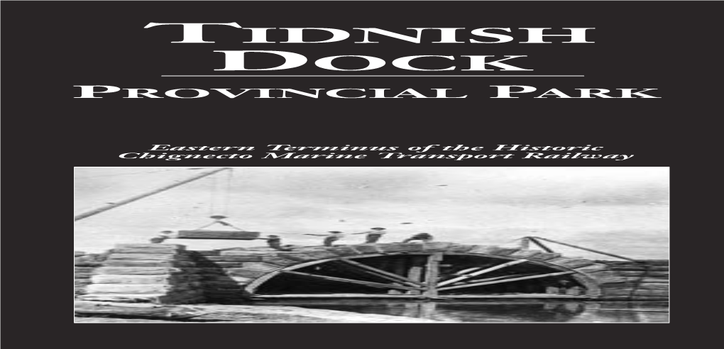 Tidnish Dock/04 3/15/04 10:16 AM Page 1