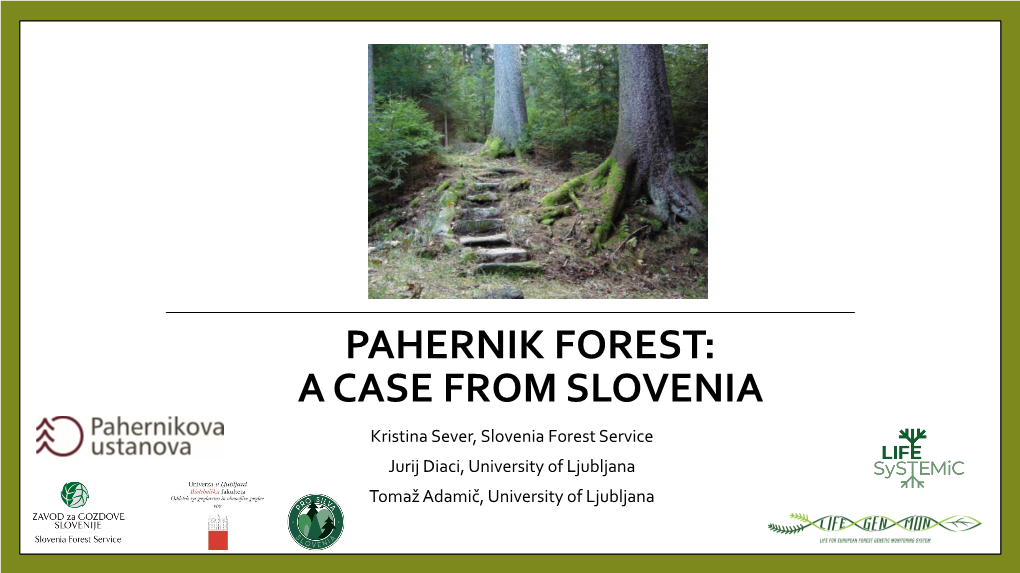 PAHERNIK FOREST: a CASE from SLOVENIA Kristina Sever, Slovenia Forest Service Jurij Diaci, University of Ljubljana Tomaž Adamič, University of Ljubljana