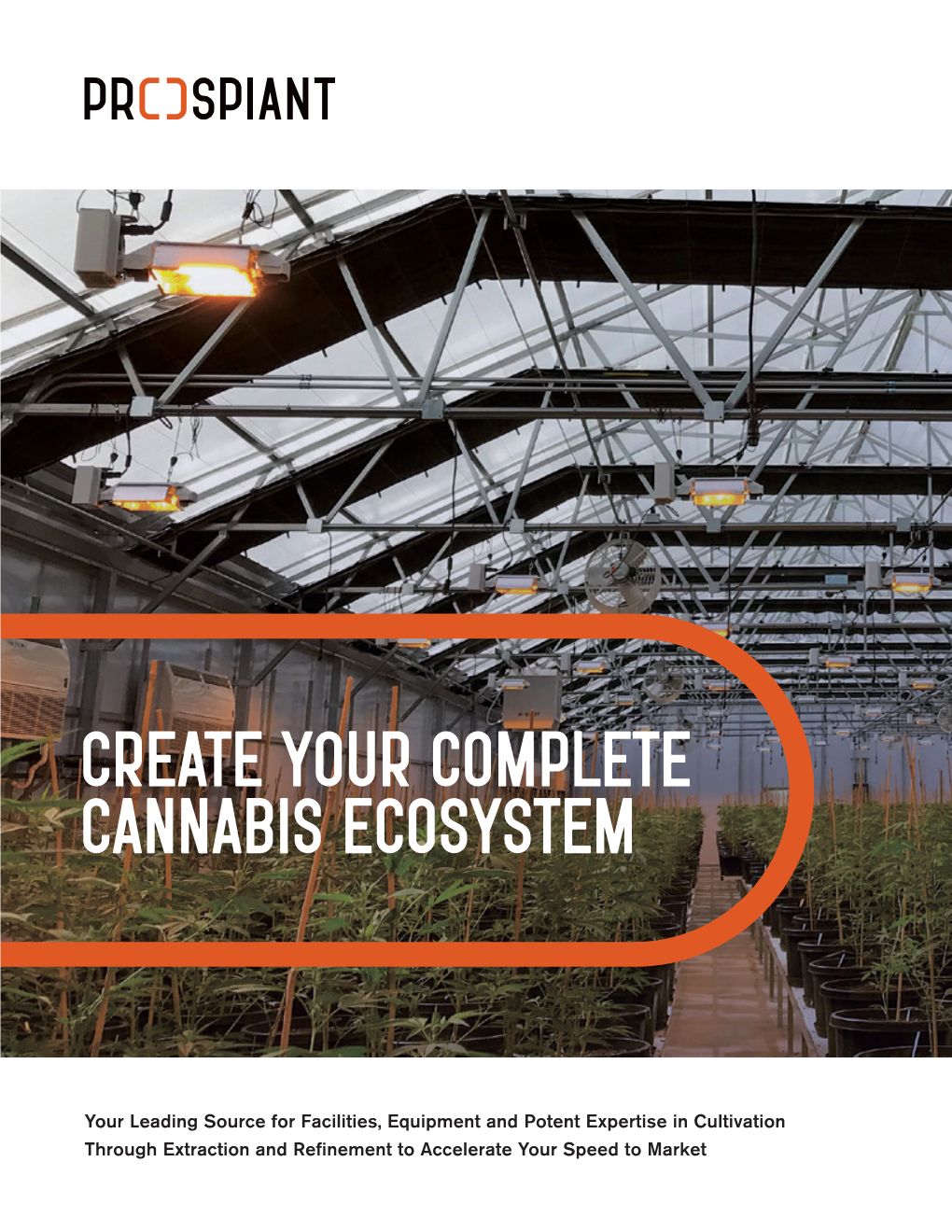 Download Cannabis Brochure