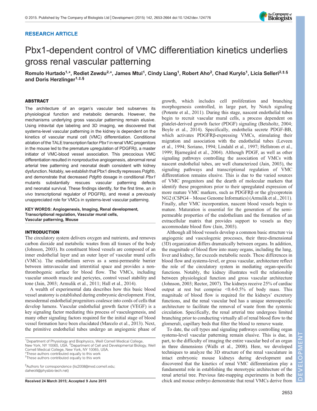 Pbx1-Dependent Control of VMC Differentiation Kinetics Underlies Gross Renal Vascular Patterning