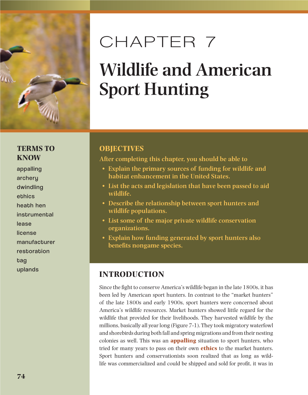 CHAPTER 7 Wildlife and American Sport Hunting