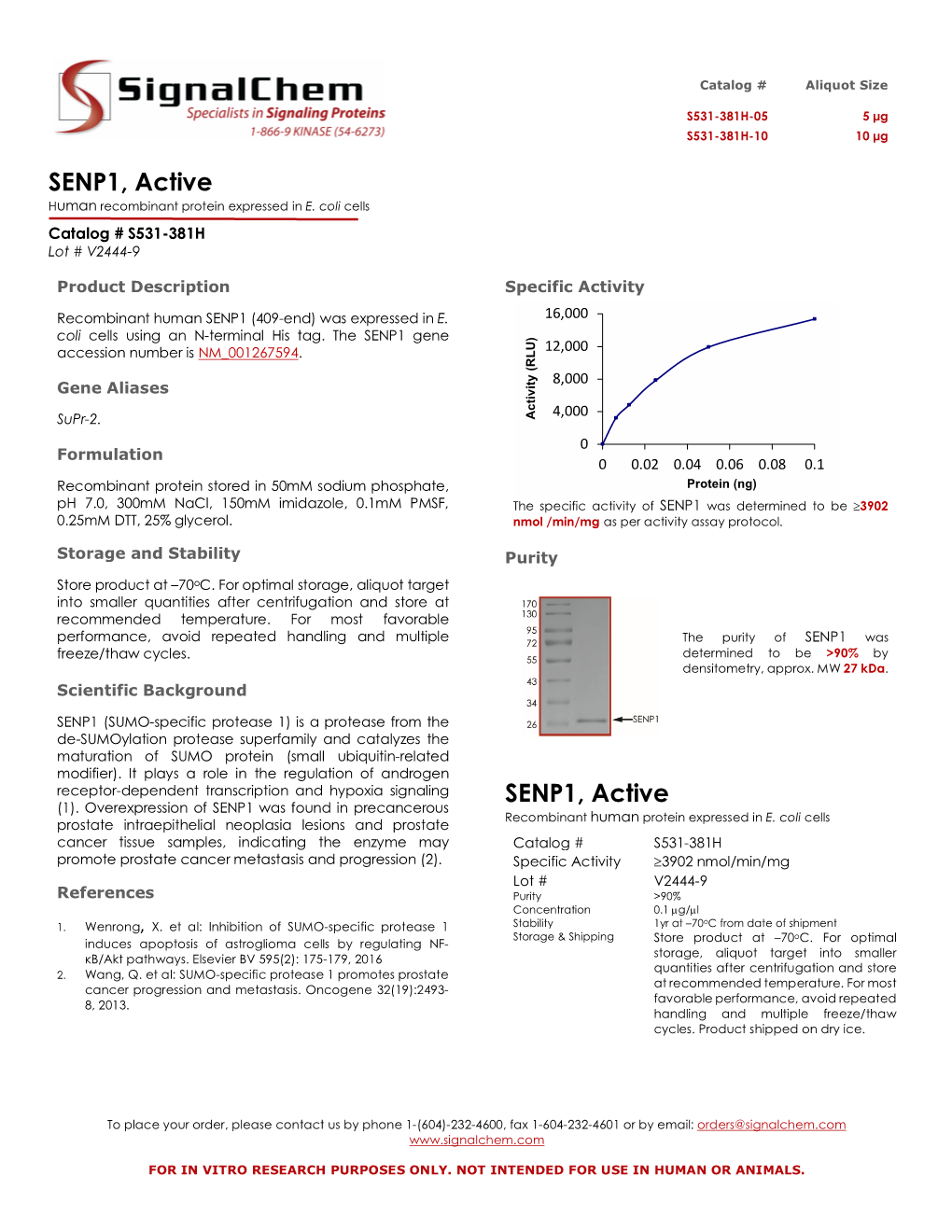 SENP1, Active Human Recombinant Protein Expressed in E