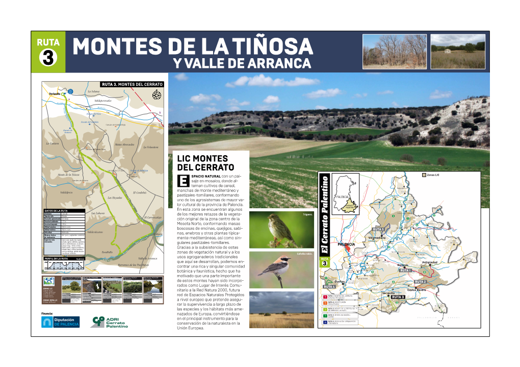 Ruta 3. Montes Del Cerrato