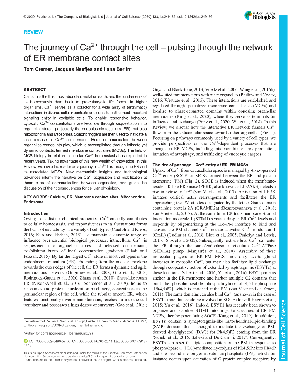 Through the Cell – Pulsing Through the Network of ER Membrane Contact Sites Tom Cremer, Jacques Neefjes and Ilana Berlin*