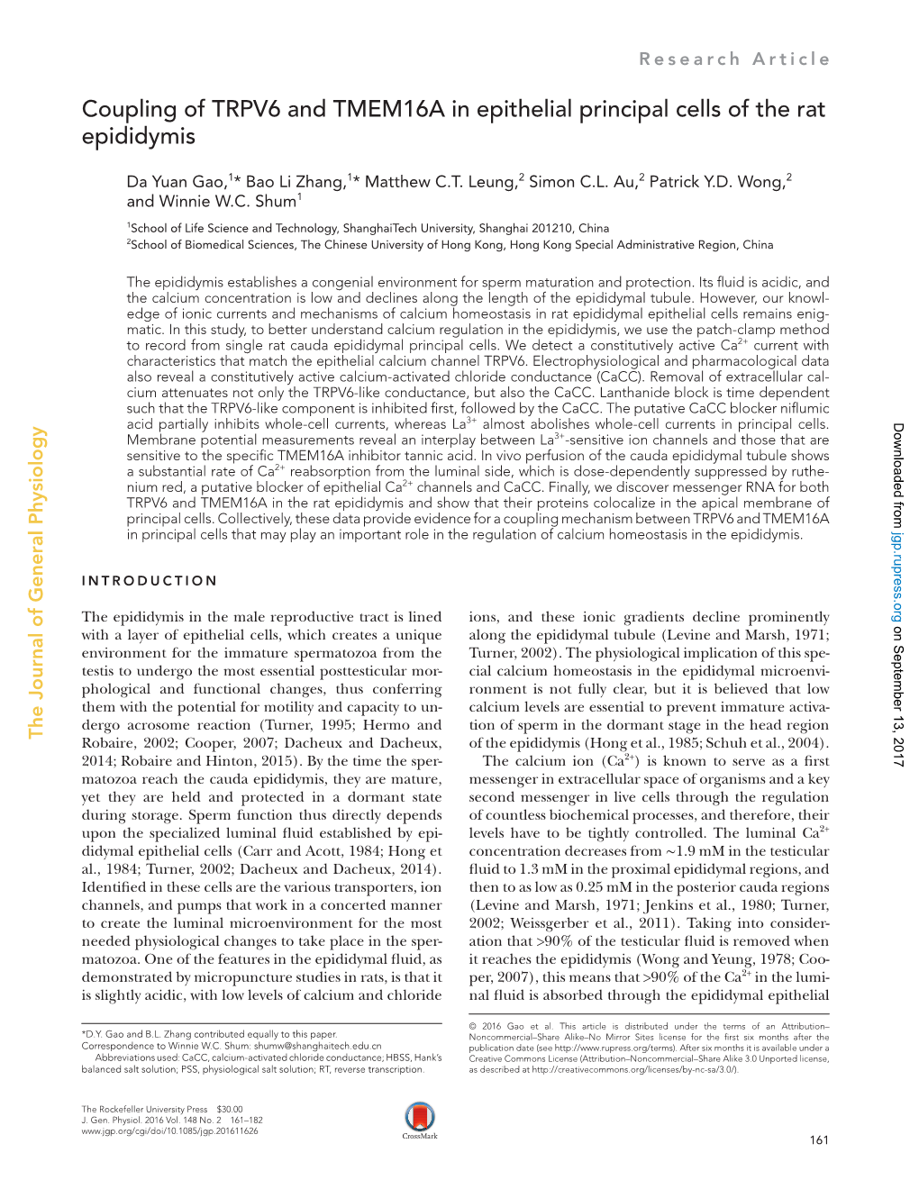 Coupling of TRPV6 and TMEM16A in Epithelial Principal Cells of the Rat Epididymis