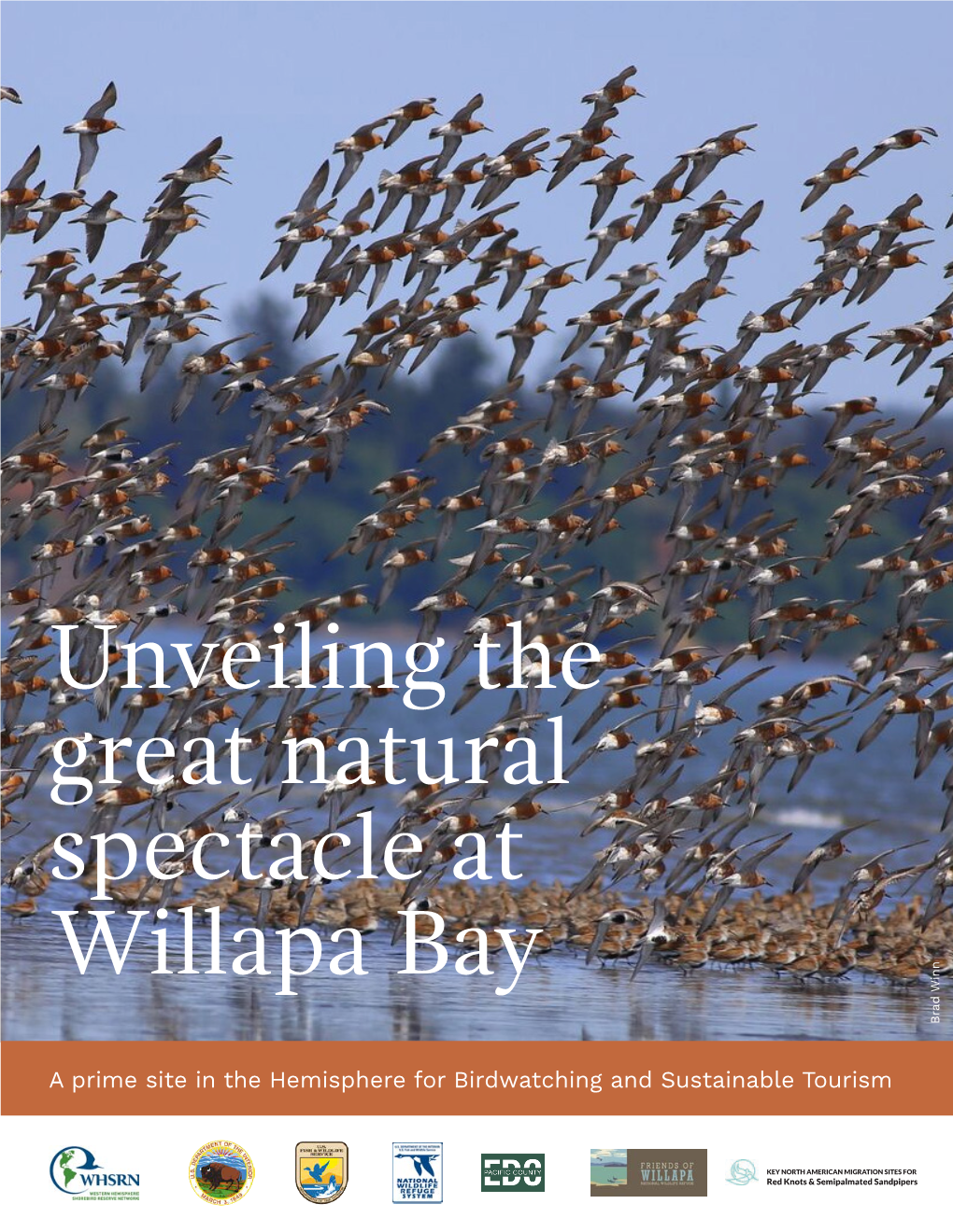 Unveiling the Great Natural Spectacle at Willapa Bay Brad Winn Brad