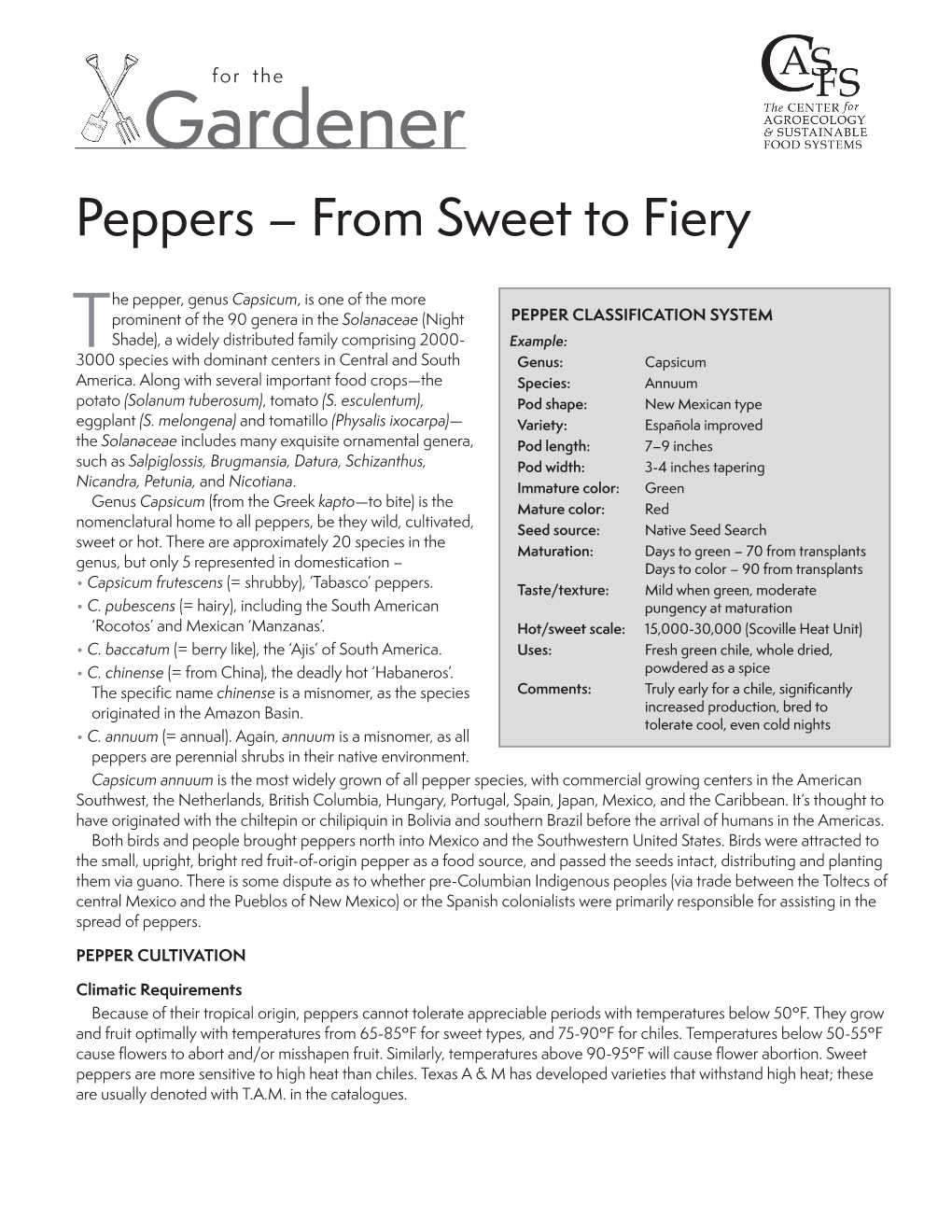 Peppers – from Sweet to Fiery