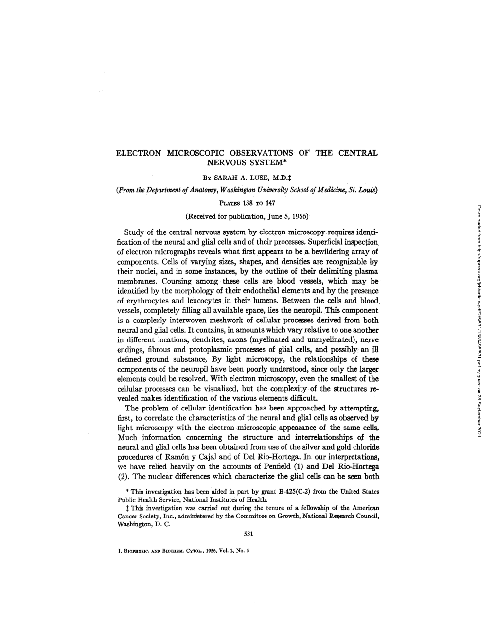 Electron Microscopic Observations of the Central Nervous System*