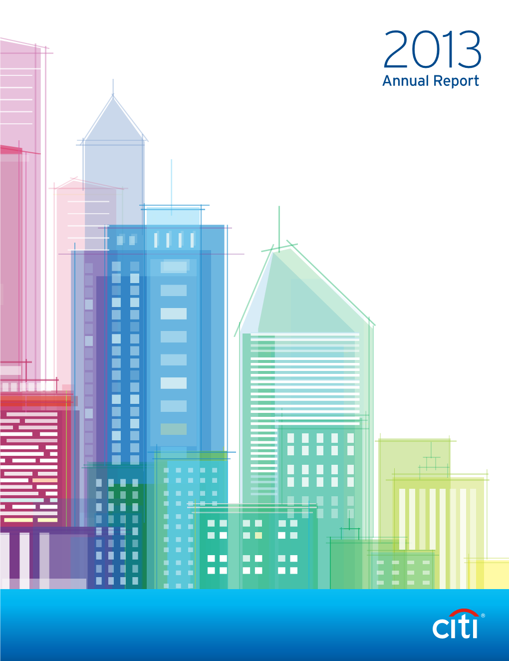 2013 Annual Report Financial Summary