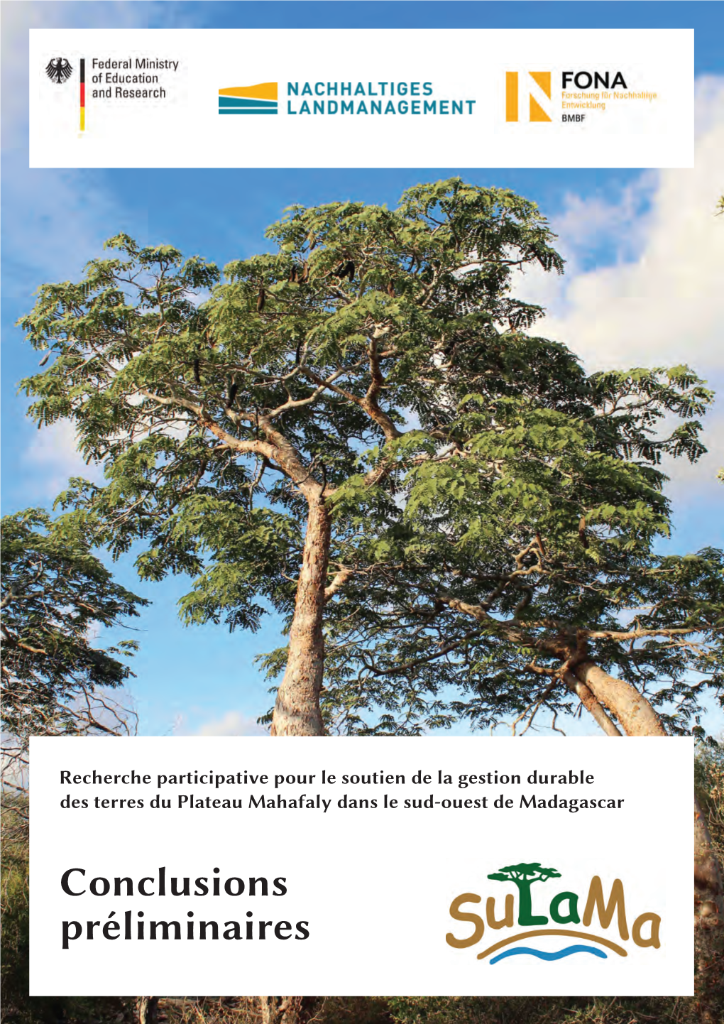 Conclusions Préliminaires Recherche Participative Pour Le Soutien De La Gestion Durable Des Terres Du Plateau Mahafaly Dans Le Sud-Ouest De Madagascar