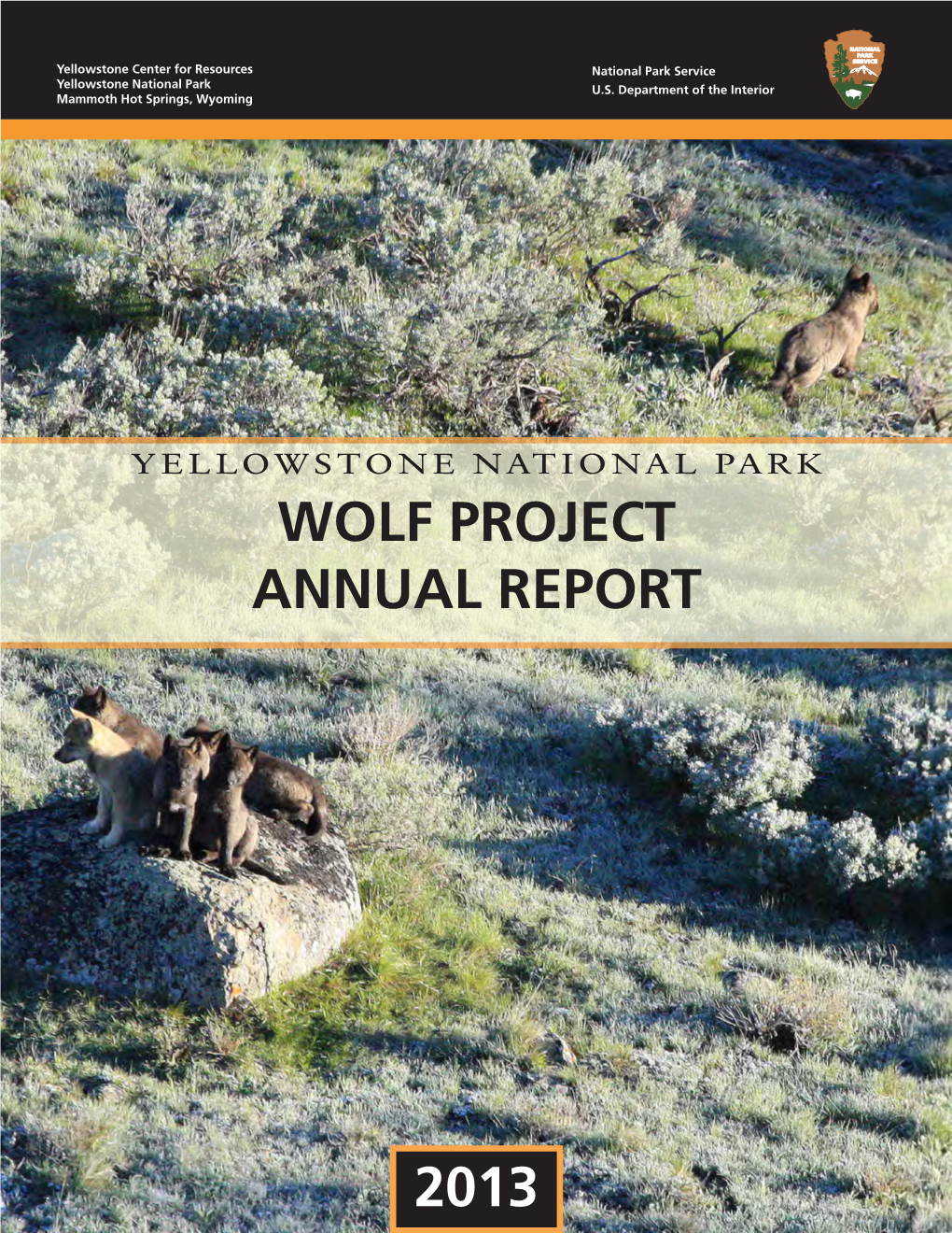 Yellowstone Wolf Project, Annual Report 2013