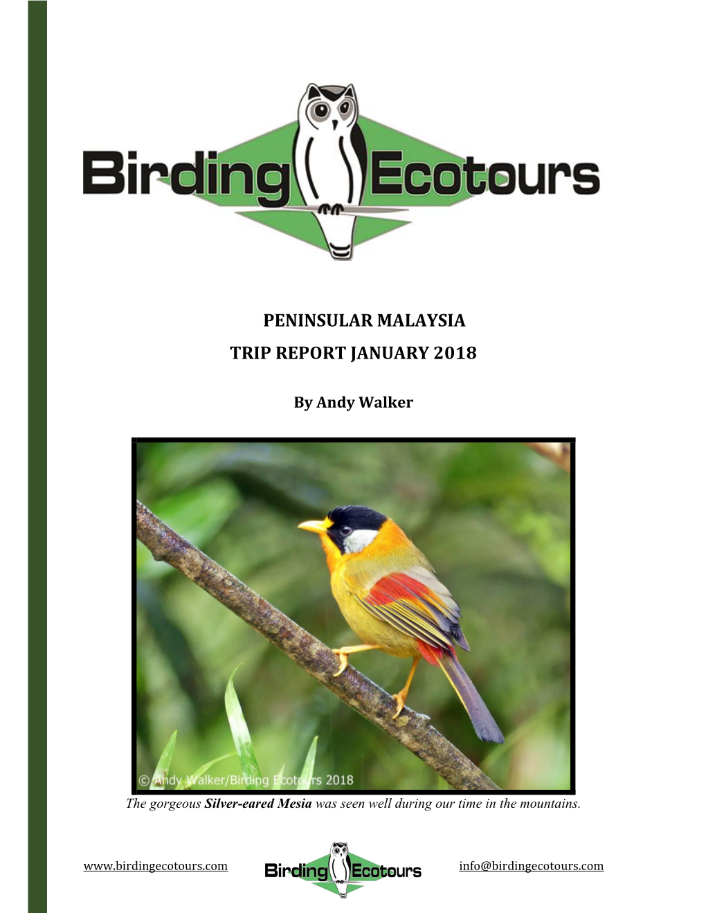 Peninsular Malaysia Trip Report January 2018
