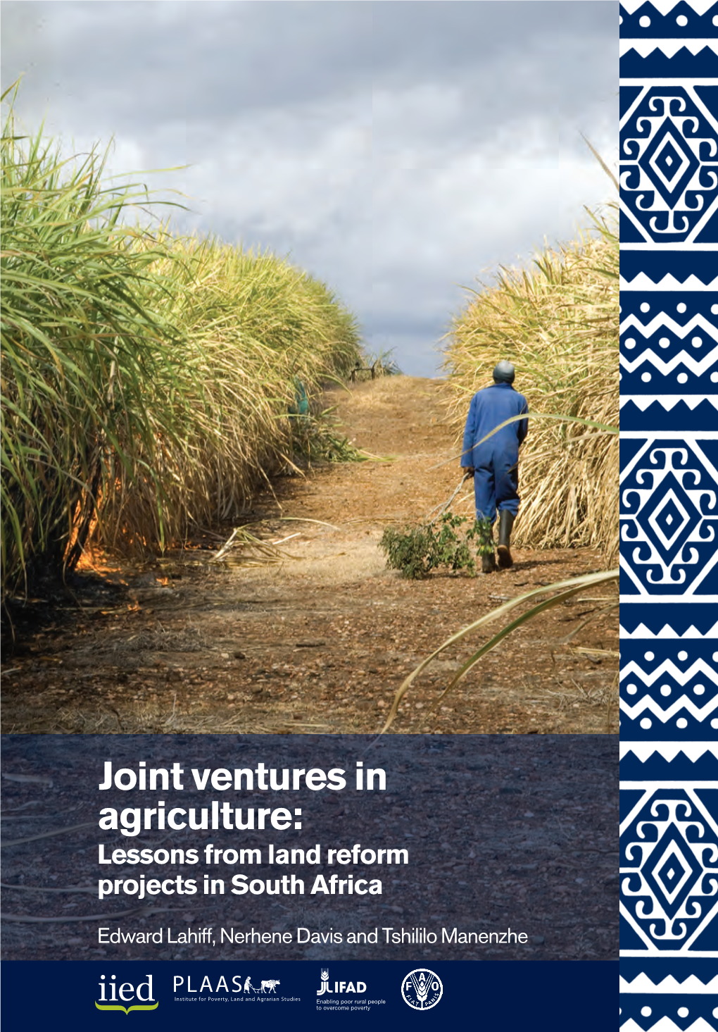 Joint Ventures in Agriculture: Lessons from Land Reform Projects in South Africa