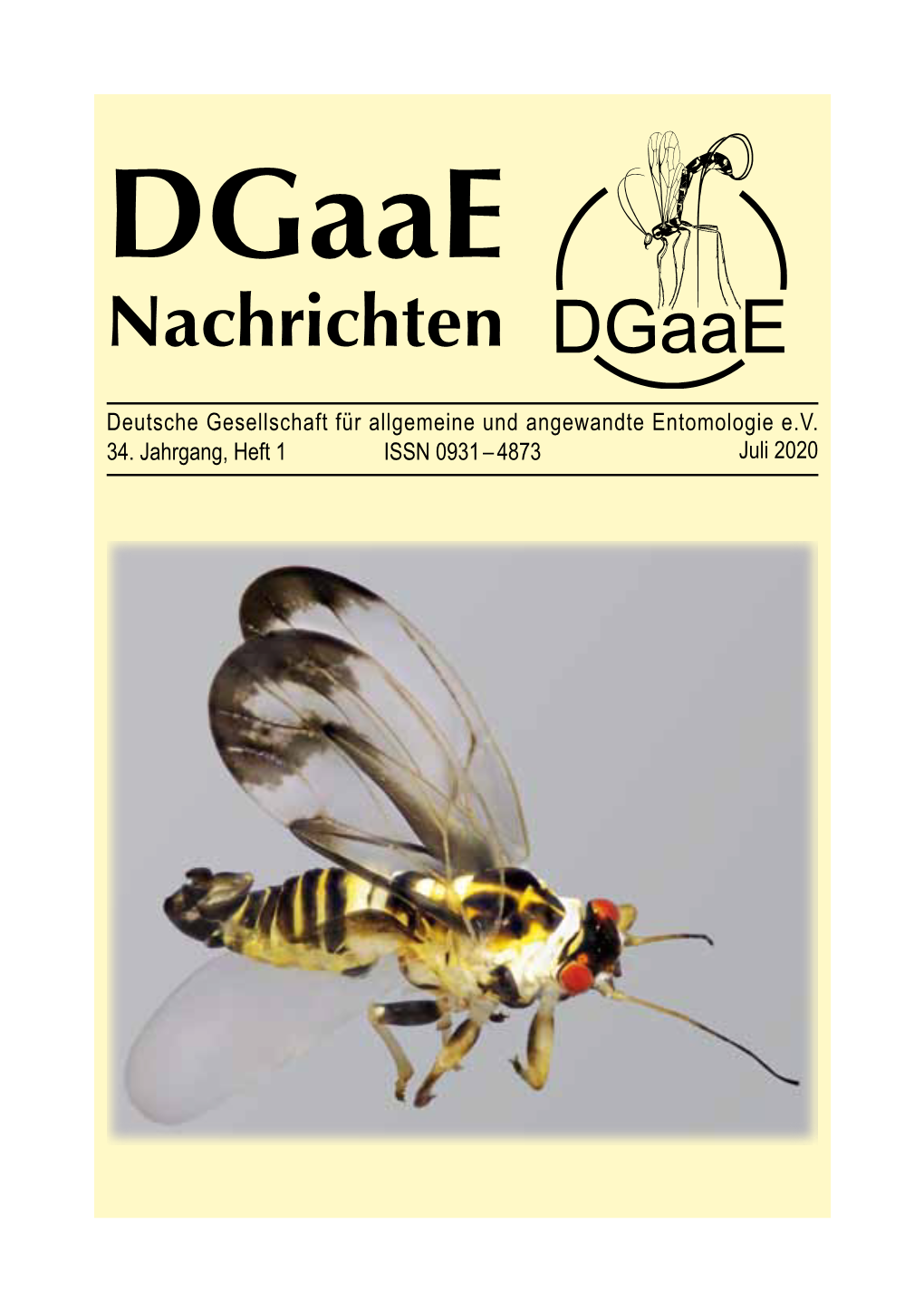 Dgaae Nachrichten