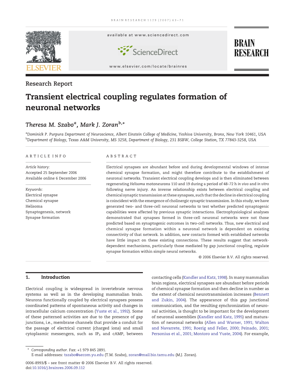 Transient Electrical Coupling Regulates Formation of Neuronal Networks