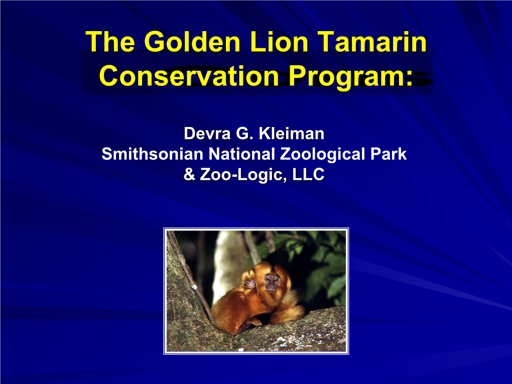 The Golden Lion Tamarin Conservation Program