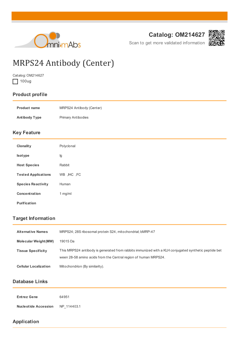 MRPS24 Antibody (Center)