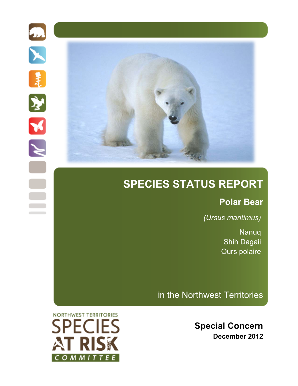 Polar Bear (Ursus Maritimus) Nanuq Shih Dagaii Ours Polaire