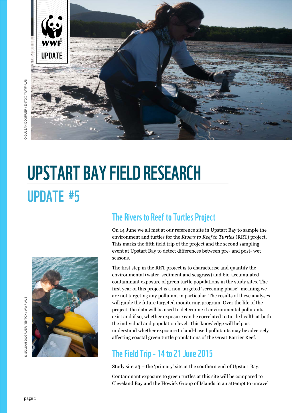 UPSTART BAY FIELD RESEARCH UPDATE #5 the Rivers to Reef to Turtles Project