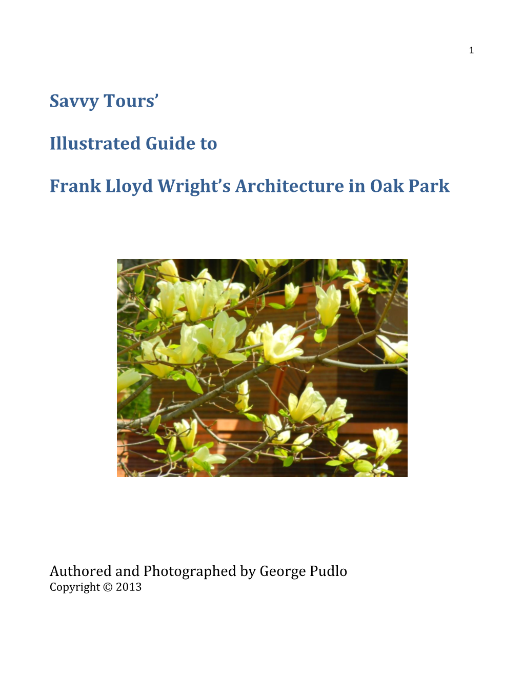 Savvy Tours' Illustrated Guide to Frank Lloyd Wright's Architecture in Oak