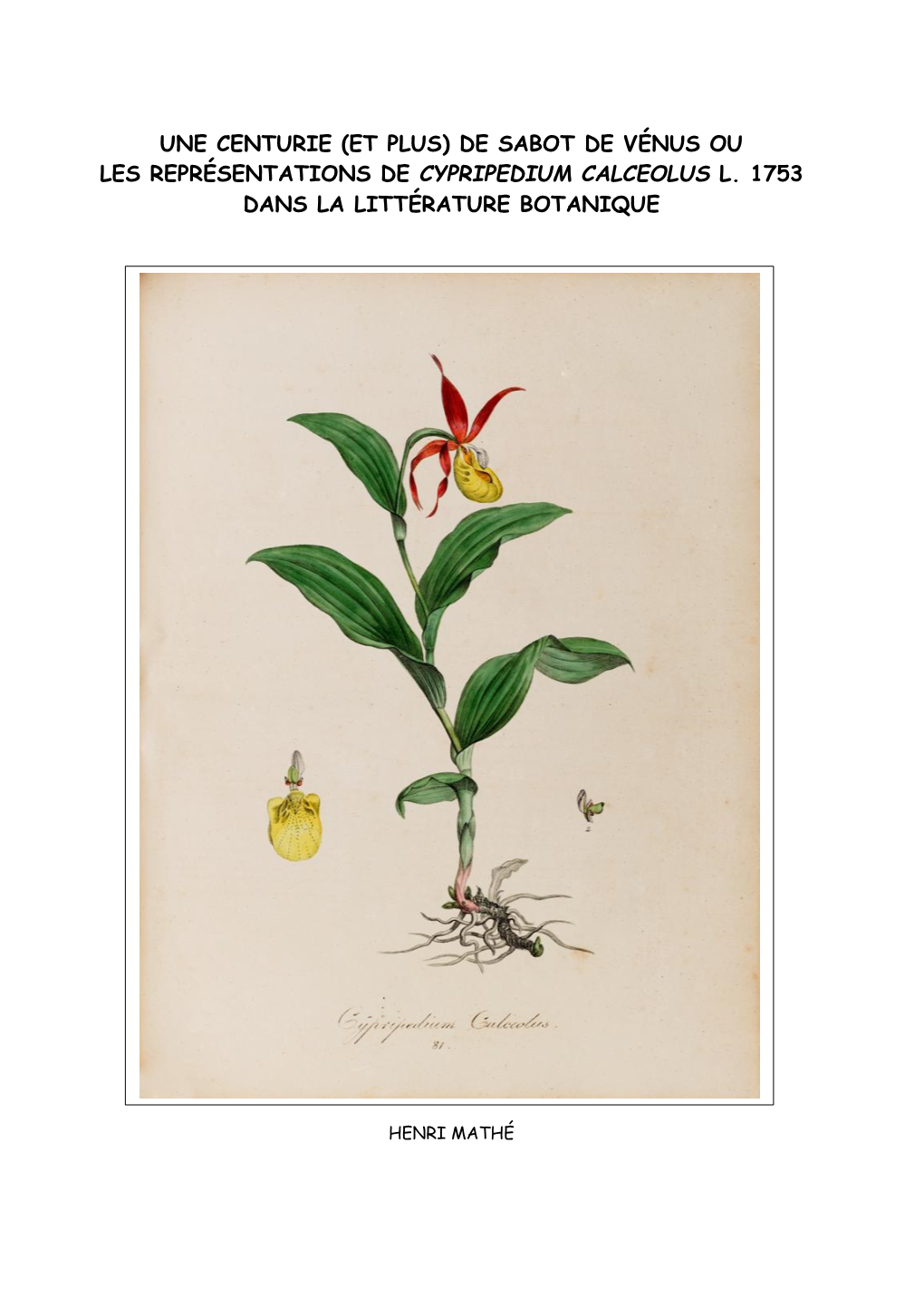 Les Représentations De Cypripedium Calceolus L. 1753 Dans La Littérature Botanique