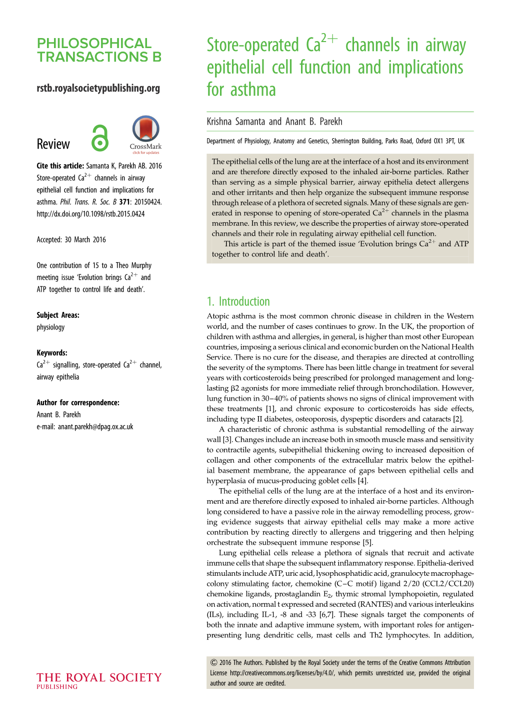 Store-Operated Ca Channels in Airway Epithelial Cell Function And