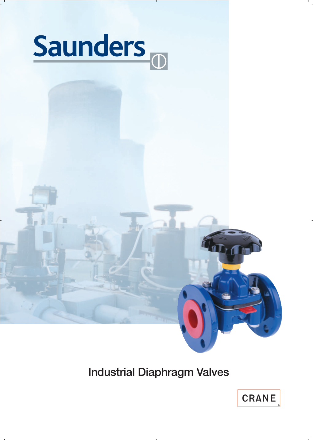 Industrial Diaphragm Valves Saunders a Continuing Story of Success